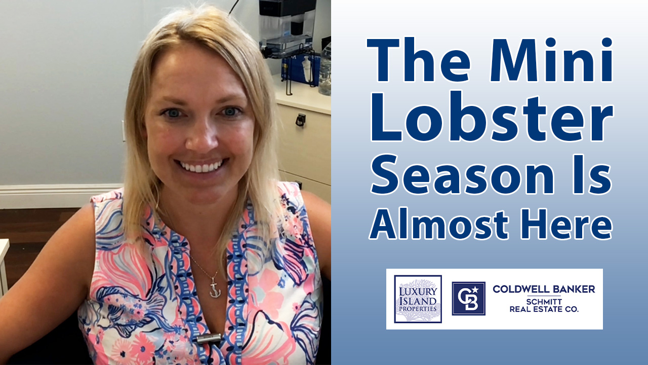 Get Ready For Mini Lobster Season